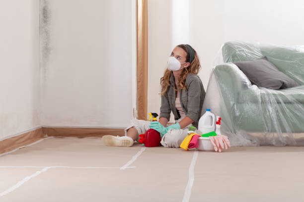 Reliable Mold Cleanup contractor in Vandalia, IL by WQB Mold Removal